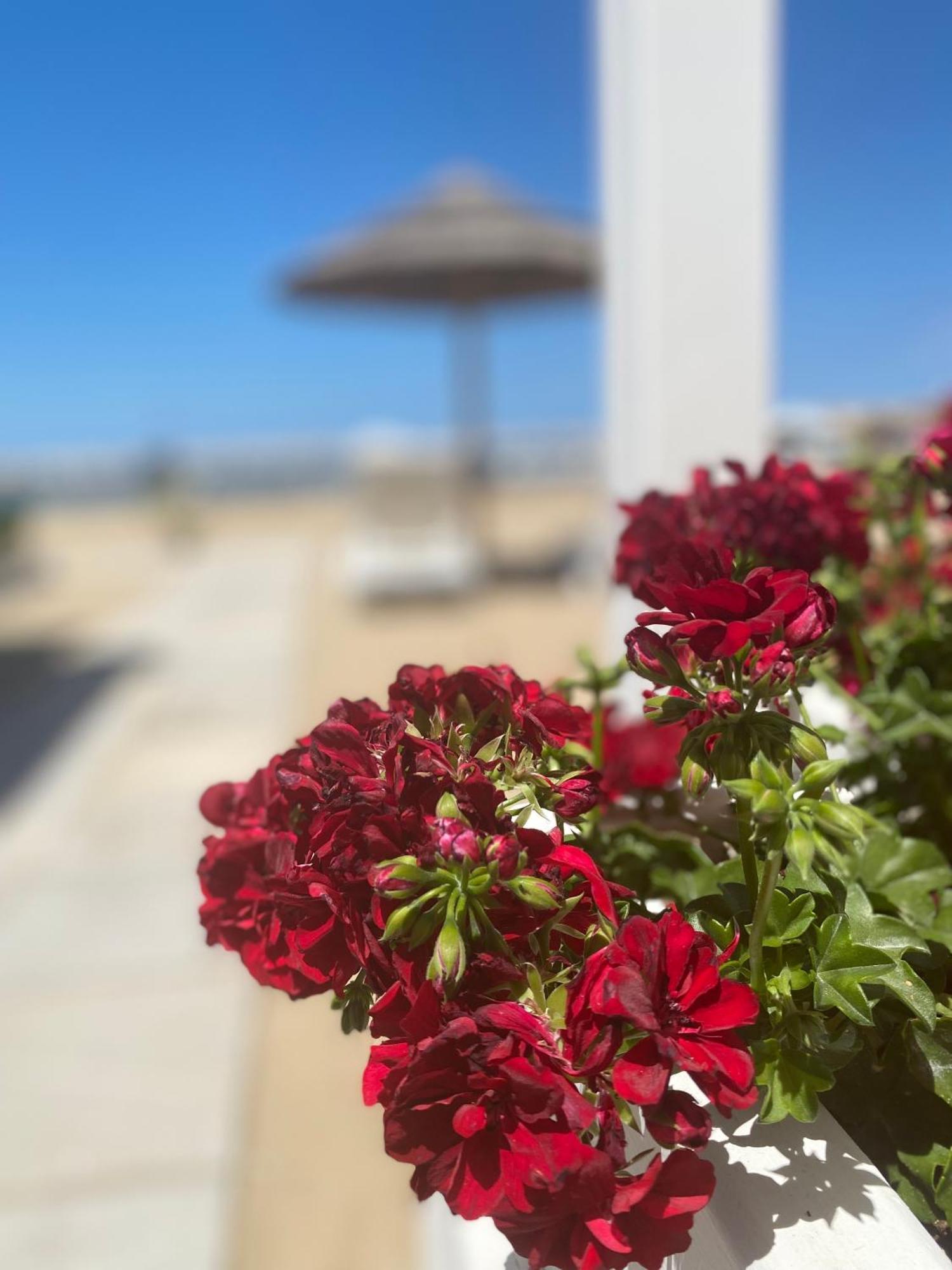 פסקיצ'י Marina Bay Beach Suites מראה חיצוני תמונה
